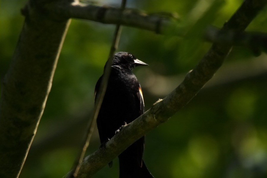 2013 06 14 IMG 10701